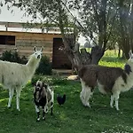 Bed & Breakfast Coin Nature 3*