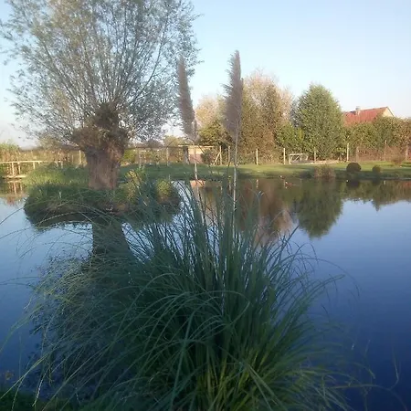 Coin Nature Fromelles