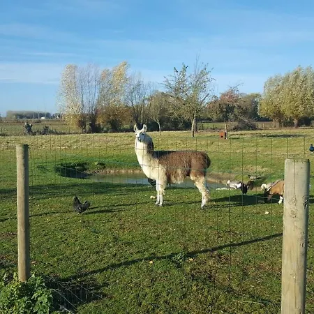 Coin Nature Bed & Breakfast 3*