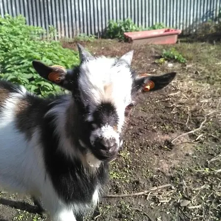 Bed & Breakfast Coin Nature 3*