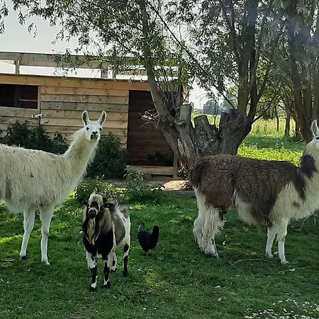 לינה וארוחת בוקר Coin Nature 3*