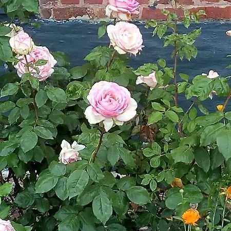 Coin Nature Bed & Breakfast